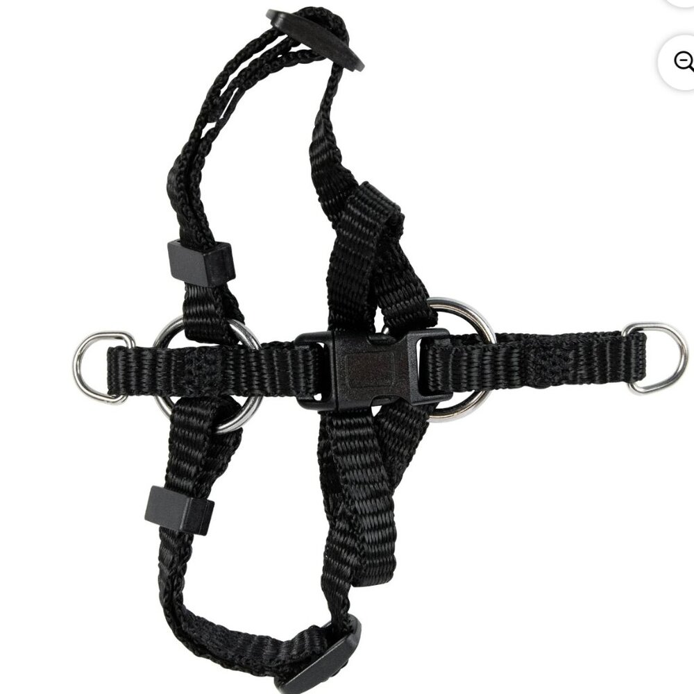 Pet Champion Basic Step-in Cat Harness